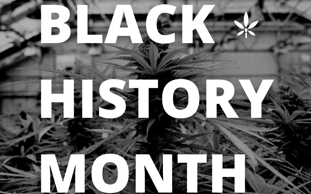 Black History Month | nuEra