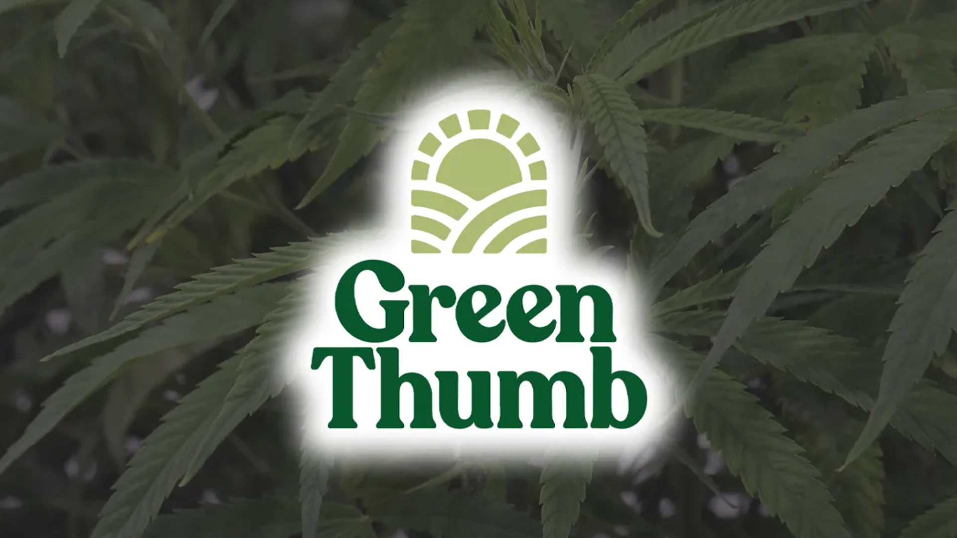 Green Thumb Industries cannabis brands