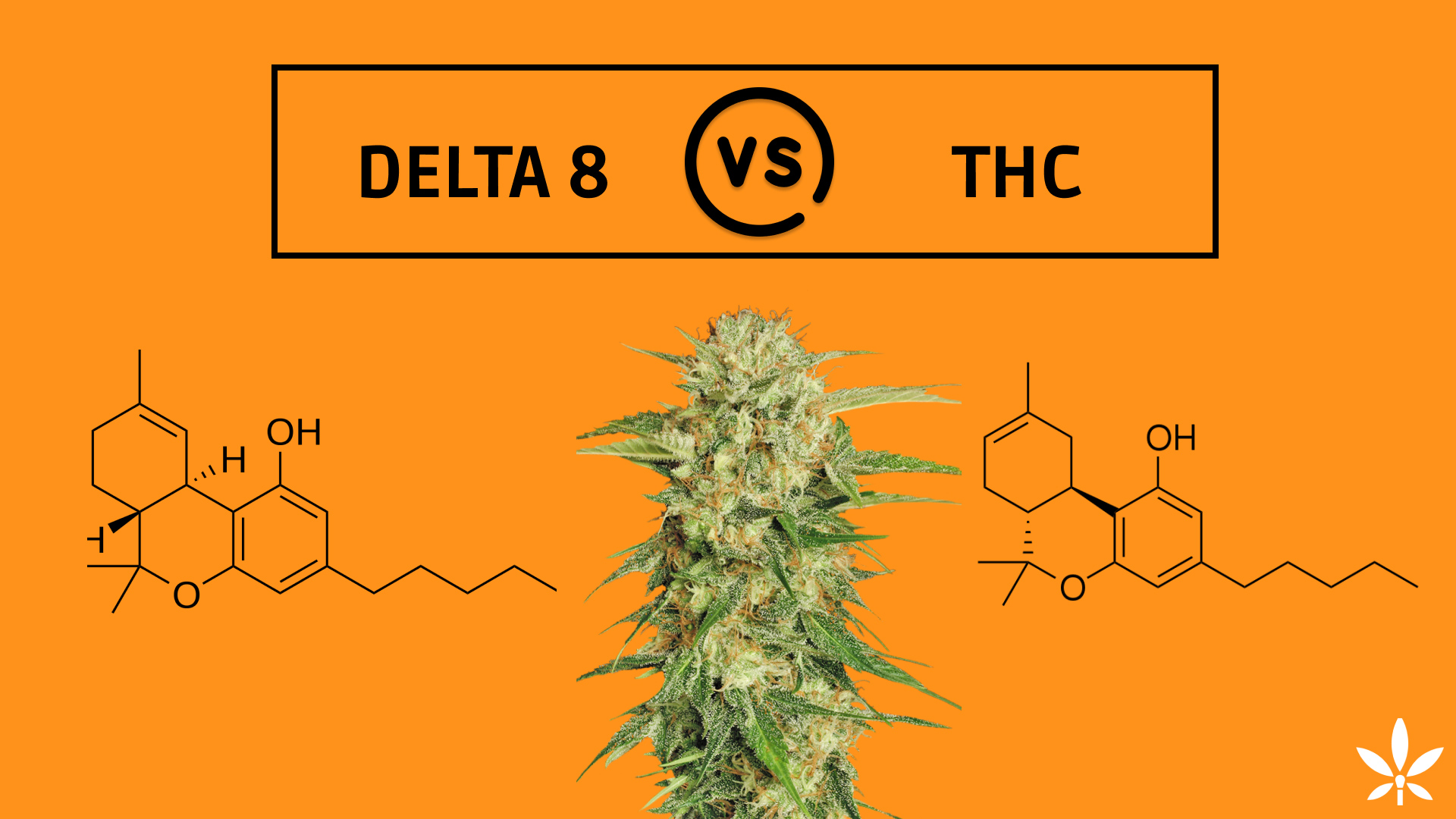 Delta-8 THC vs Delta-9 THC comparison