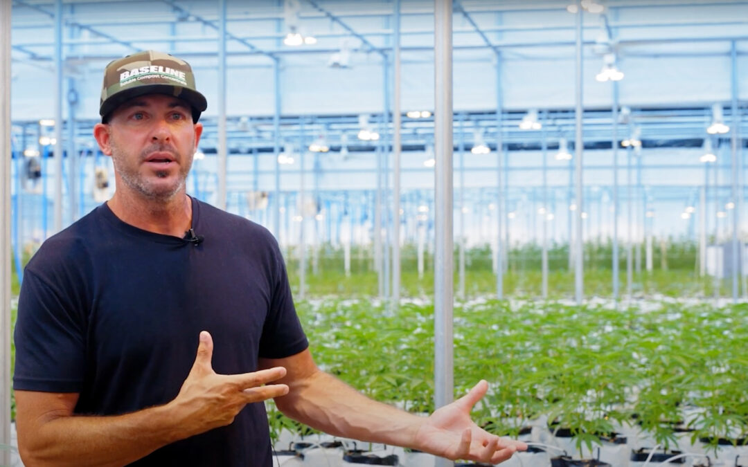Meet the Team: Andy D’Amico, Master Cultivator
