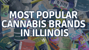 Most Popular Cannabis Brand