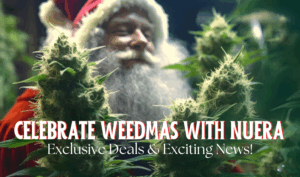 Celebrate Weedmas with nuEra: Exclusive Deals & Exciting News!