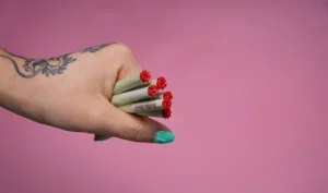 Rollin_Rosa_Blog