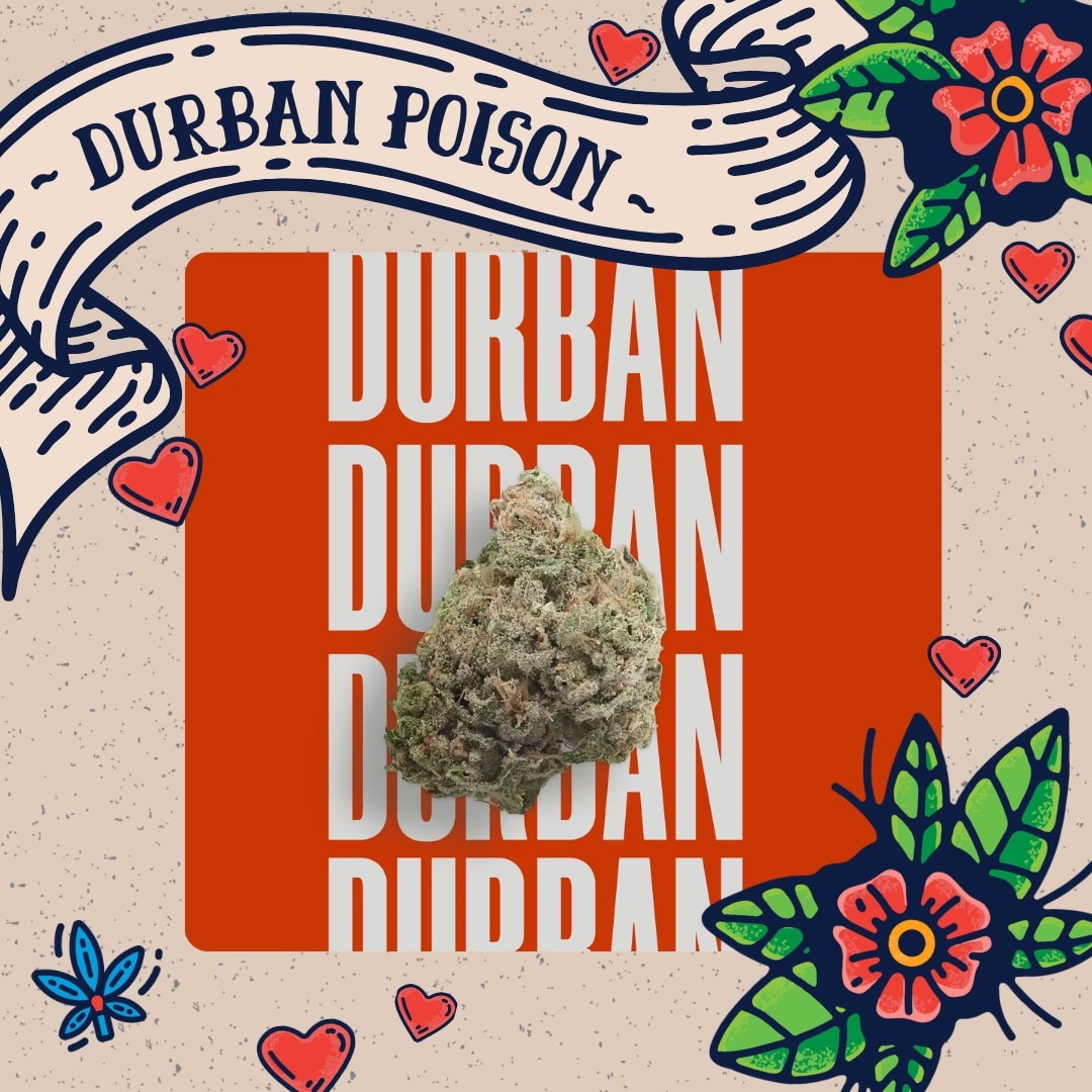 Durban Poison